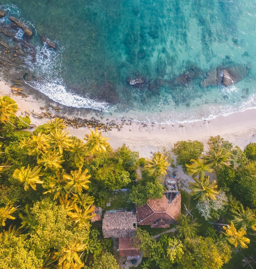 Breathtaking aerial view of palm-lined beach in Dambulla, Sri Lanka with turquoise waters.